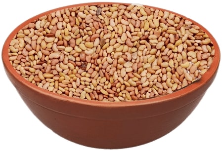 Lucern Rajka Seeds